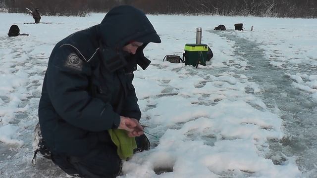 ПОДСЕКАЙ КОЛЮЧИХ РЫБ. Безмотылим. На рыбалку с друзьями! - Болен Рыбалкой №591 смотреть онлайн