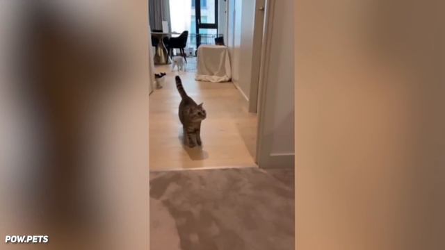 If you finish this video you win an IPhone 14! смотреть онлайн