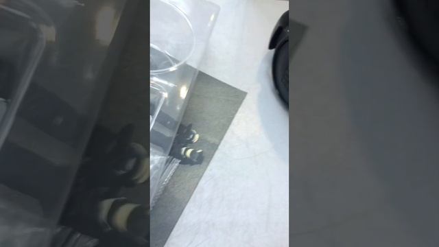 12 апреля 2023 г. смотреть онлайн