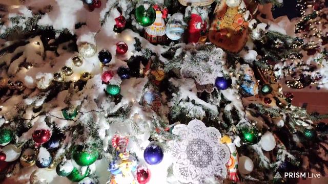 Елки выставки Россия. Часть 1. смотреть онлайн