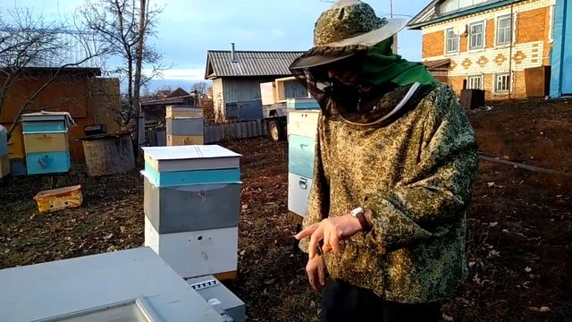 Термообработка пчел. Лечим варроатоз пчел без использования химии. смотреть онлайн