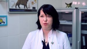 Хомяки, крысы, черепахи и ящерицы: ратолог и герпетолог Мария Сапарова об из содержании