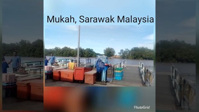 Tour in Sarawak Malaysia смотреть онлайн