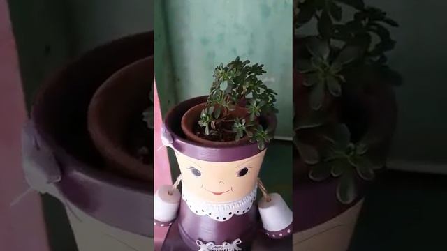 Tour pelas nossas plantinhas 🌵☘(A Dracena vermelha está linda) смотреть онлайн