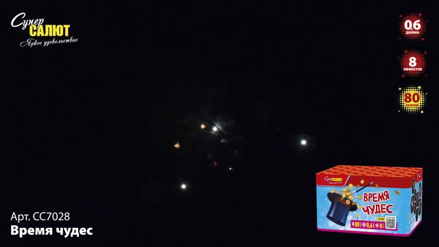 СС7028_2024 смотреть онлайн