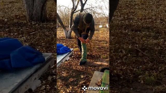 Чистка колодца , раскрываем секреты !!! смотреть онлайн