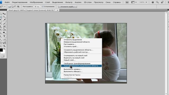 Выделение облости.avi смотреть онлайн