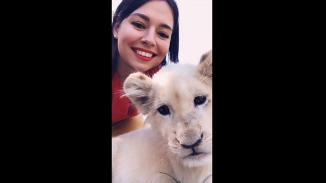 Йоханнесбург South Africa смотреть онлайн