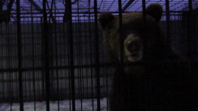 Переезд смотреть онлайн