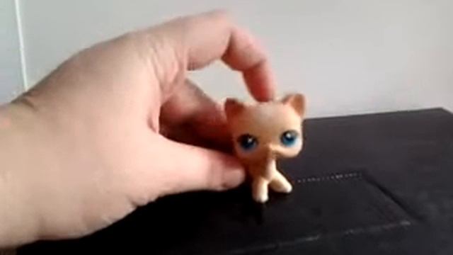 Кошка стоячка с голубыми глазами little pet shop смотреть онлайн