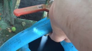 Норы в земле.  Водяная крыса. Нашатырь. Часть 4.  Earthen rat.