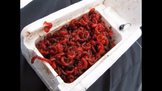 Как мы собираемся на рыбалку смотреть онлайн