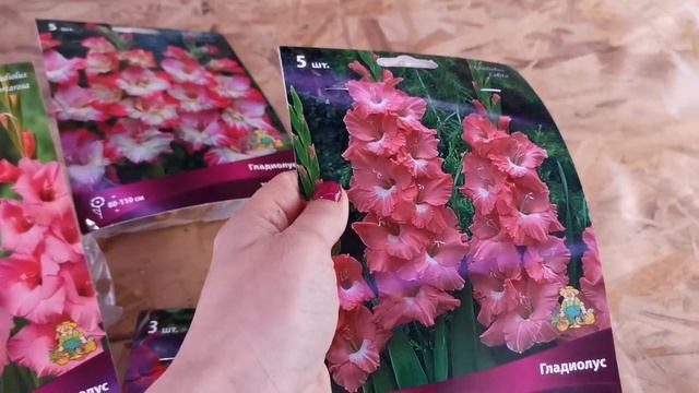 Про пикировку лука эксибишен, про всходы в самокрутках, и про приятные цветочные покупки)) смотреть онлайн