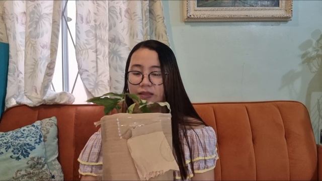 UNBOXING PHILODENDRON JUNGLE FEVER SNOWDRIFT AND SYNGONIUMS