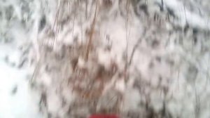 2017 начало зимы Конёво