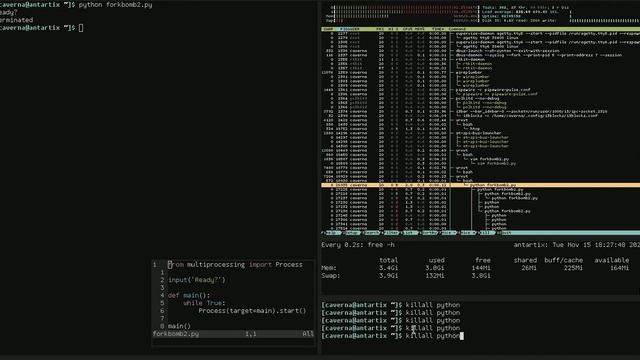 Activating and defusing a Python fork bomb смотреть онлайн
