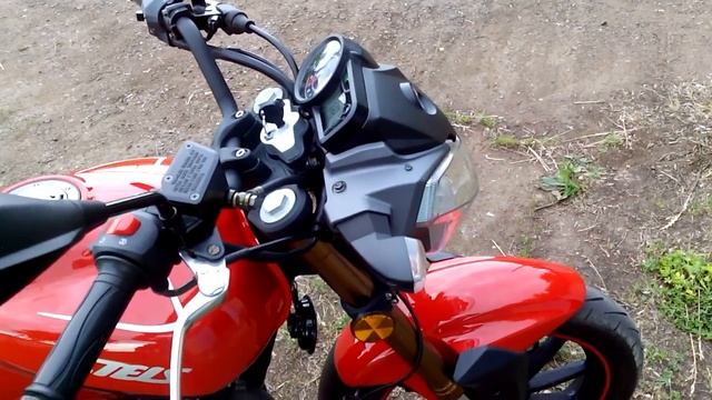 Stels Flame 200