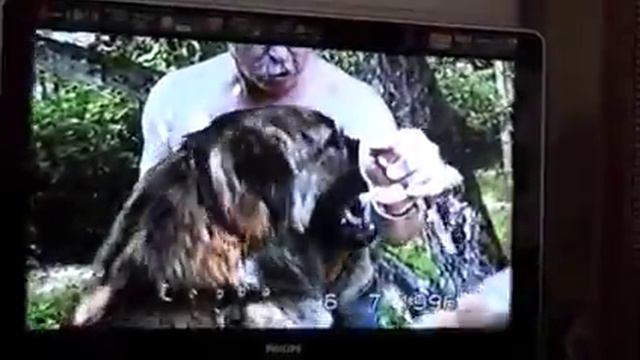 Дача Жой 1 год