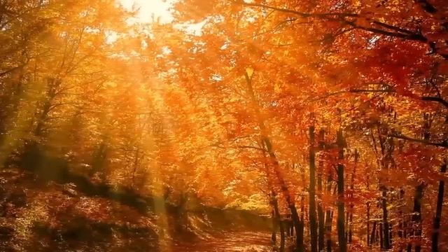 КАРМИЧЕСКАЯ РОДОСЛОВНАЯ смотреть онлайн