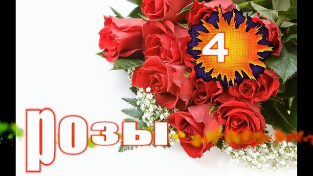 Флорист розы 40 р бегущая смотреть онлайн