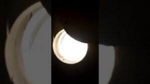 Баня бочка - год эксплуатации. Все косяки. Баня бочка своими руками.