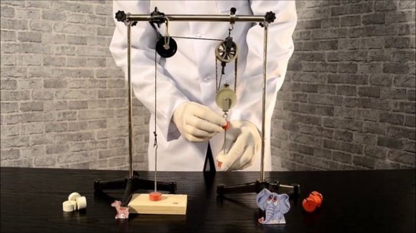 Полиспаст/Polyspast