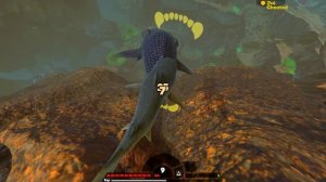 НОВАЯ ТИГРОВАЯ АКУЛА, ОБНОВЛЕНИЕ | Feed and Grow Fish