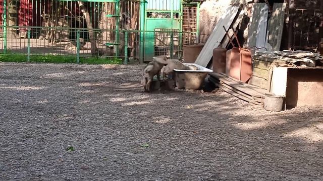 Девочки охлаждаются в ванной смотреть онлайн