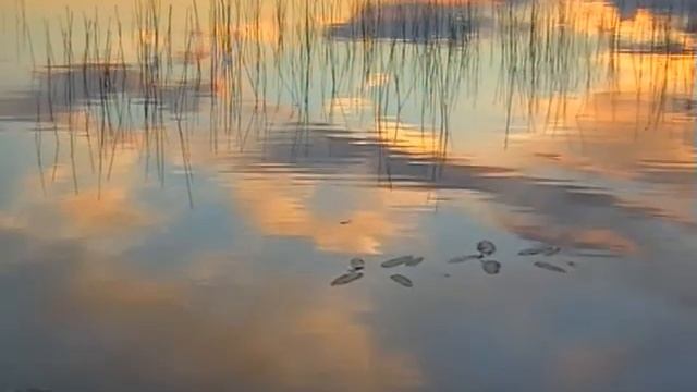 Солнечная дорога смотреть онлайн