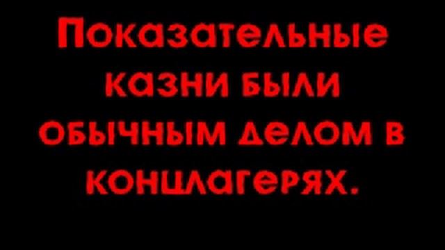 Узники концлагерей смотреть онлайн