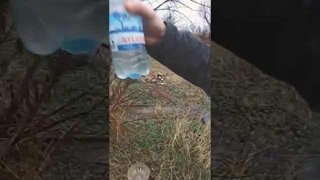 Как развести рыбу в своём пруду. Запуск разных видов рыб. смотреть онлайн