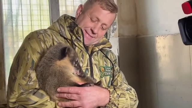 Мы в гостях у Каховских питомцев -ласковые носухи, грозный крокодил, милые мары! смотреть онлайн