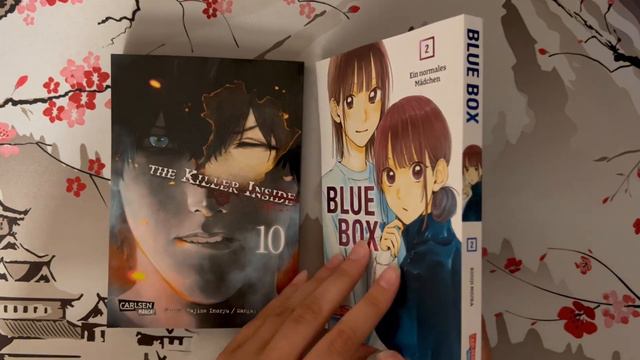 XXL MANGA HAUL 120+ BÄNDE! | Bleach KOMPLETT, Billy Bat KOMPLETT, Hellsing KOMPLETT uvm. смотреть онлайн
