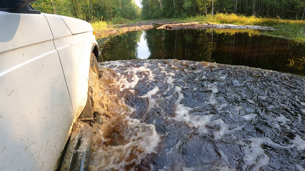 МОНСТР ЩУКА. С БРАТОМ В ЛЕСУ. НИВА ПЛЫВЕТ,