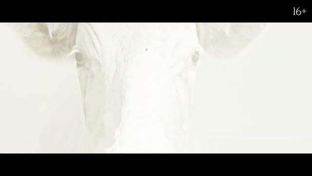 Земун ? Трейлер ? Фильм 2022.mp4 смотреть онлайн