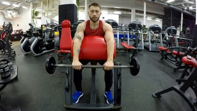 Сгибания рук со штангой прямой хват смотреть онлайн