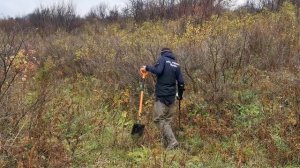 СОРВАЛ КУШ НА УРОЧИЩЕ СТАРАТЕЛЕЙ! ПОИСК ЗОЛОТО. ПРИИСК 19 ВЕКА. Коп поиск монет металлоискатель. Ч.