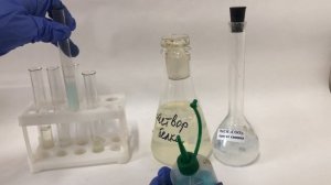 Опыт № 2. Осаждение белков солями тяжелых металлов