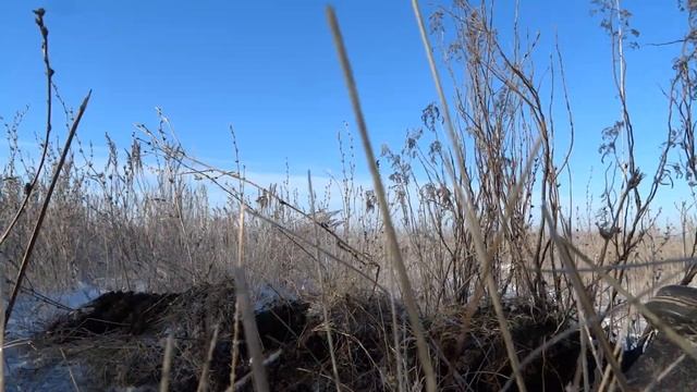 Металлокоп. Это золотое дно. Закрытие сезона по металлу, нашли новое место для копа. смотреть онлайн