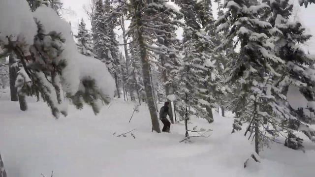 Шерегеш 2019, январский фрирайд (Sheregesh 2019, freeride in January) смотреть онлайн