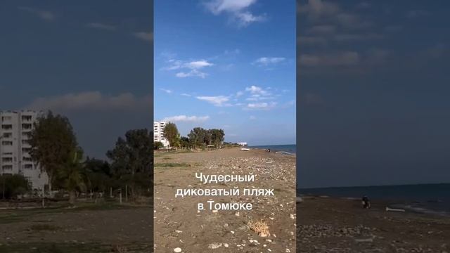 Много зелени на пребрежной территории // Татьяна Казак смотреть онлайн
