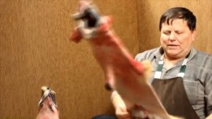 Как сохранить шкуру. Выделка шкур в домашних условиях