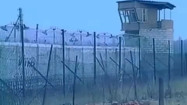 Отпустите врача