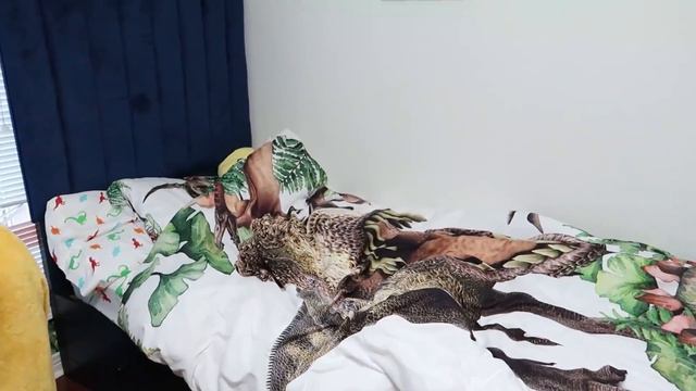 Хайди и Зидан учат младшего брата как важно чистить зубы смотреть онлайн