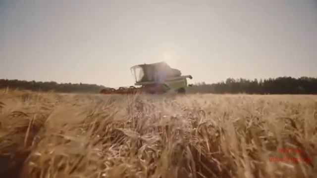 MOMO Group показала музыкальную любовную историю в рекламе молочных продуктов