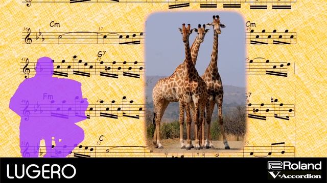 Accordion - “Samba Jumba” (Latin) Original Song By LUGERO????? смотреть онлайн