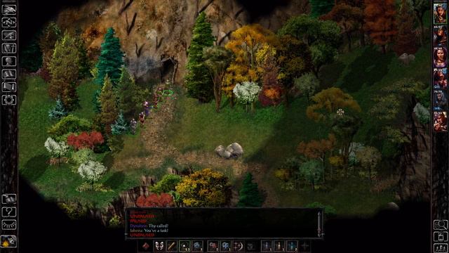 25 Cloakwood Map 2 Spiders in Baldur's Gate Enhanced смотреть онлайн