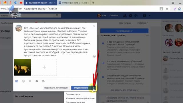 Как использовать отложенную публикацию в Facebook смотреть онлайн