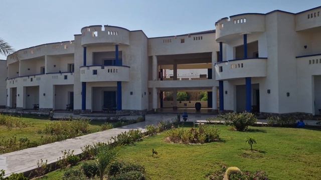 Coral Sun Beach ein rundschwänk am Strand смотреть онлайн