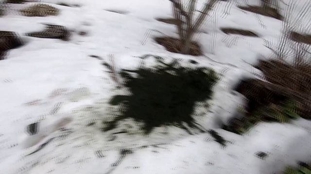 Неприятности в пруду Вспышка нитчатых водорослей! смотреть онлайн